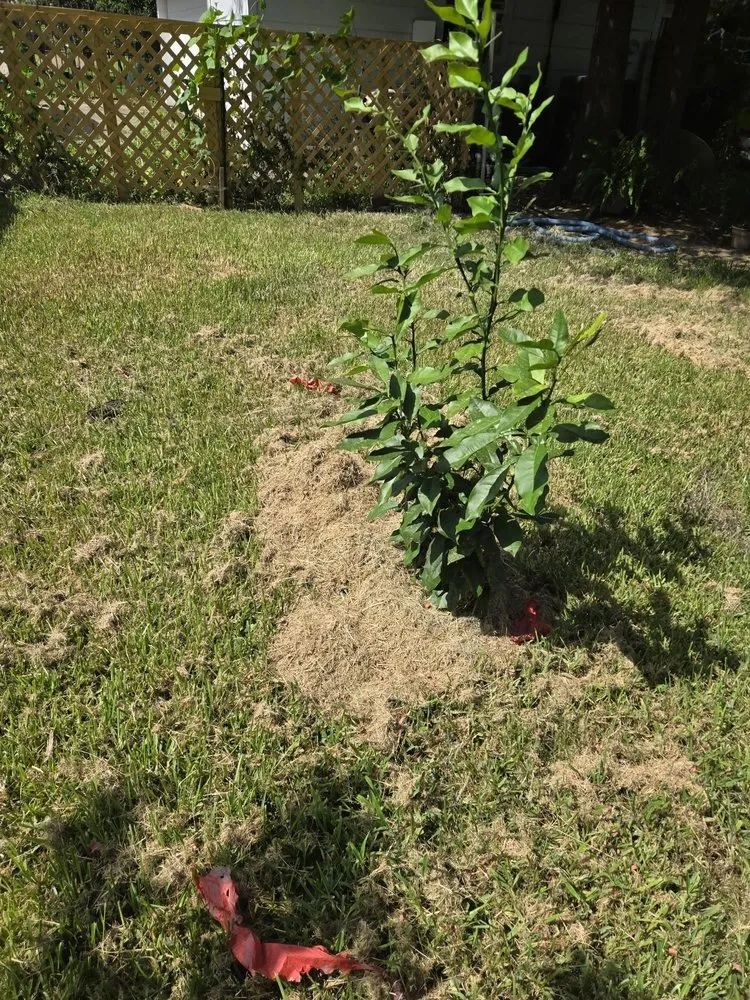 Reliable garden landscaping with custom design in Beaumont, TX by Cousin's Lawn Service