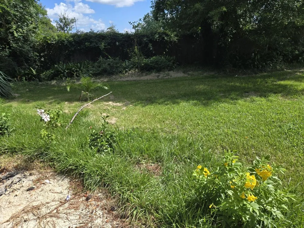 Local yard maintenance for homes in Beaumont, TX by Cousin's Lawn Service