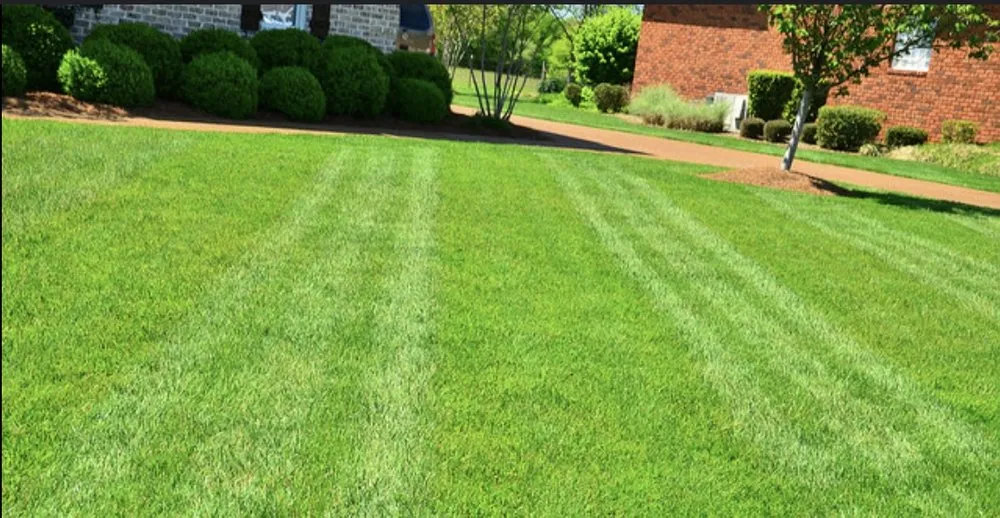 Affordable outdoor landscaping experts serving Youngsville, LA - Cousins Lawn Services