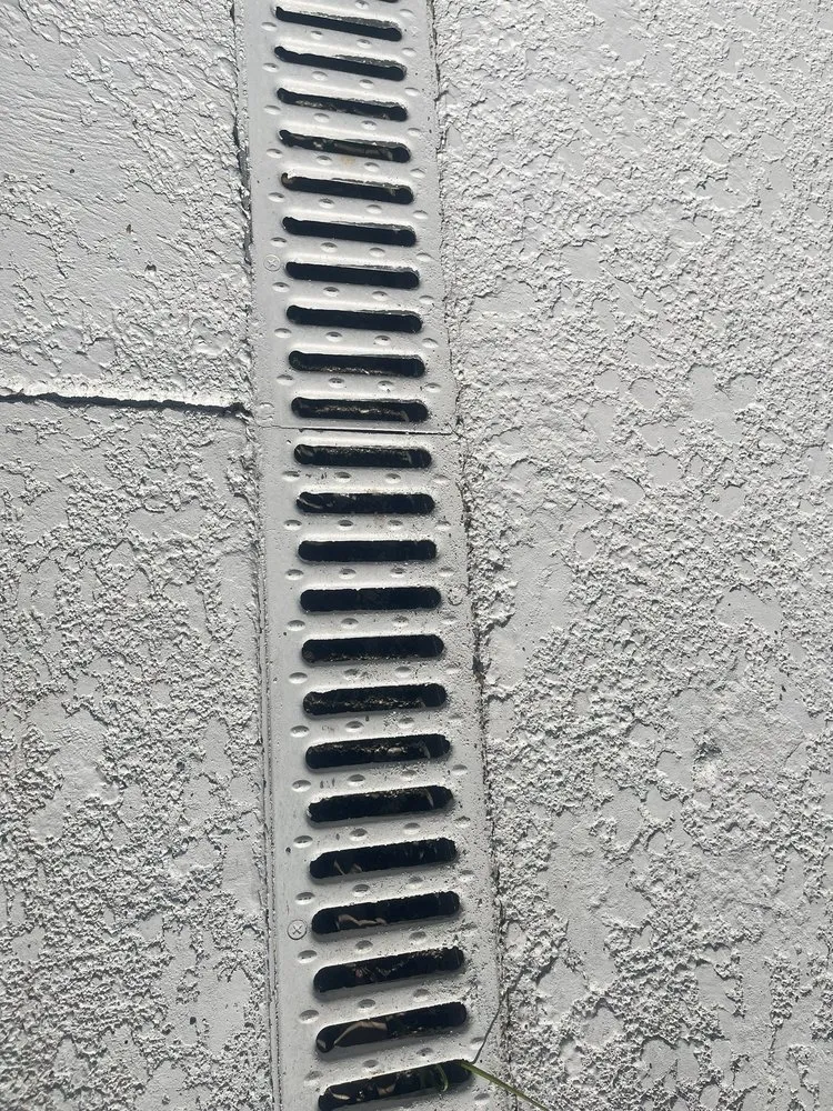 Reliable lawn care service for year-round maintenance in Belle Chasse, LA by Couvillion's Landscape