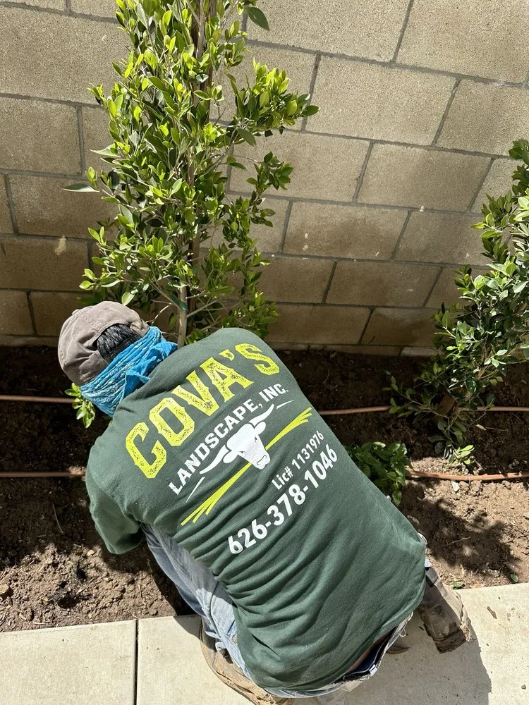 Affordable landscape installation in Azusa, CA - Cova's Landscape