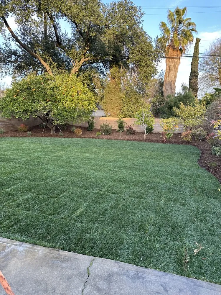 Professional yard maintenance experts serving Azusa, CA - Cova's Landscape