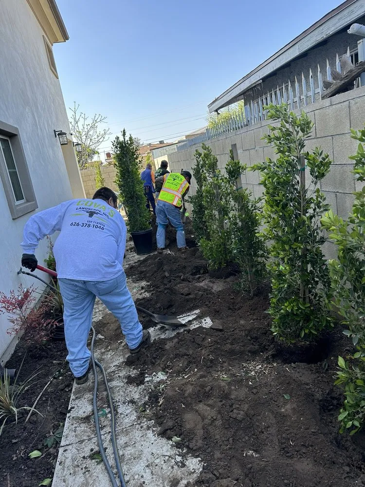 Expert lawn mowing service in Azusa, CA by Cova's Landscape