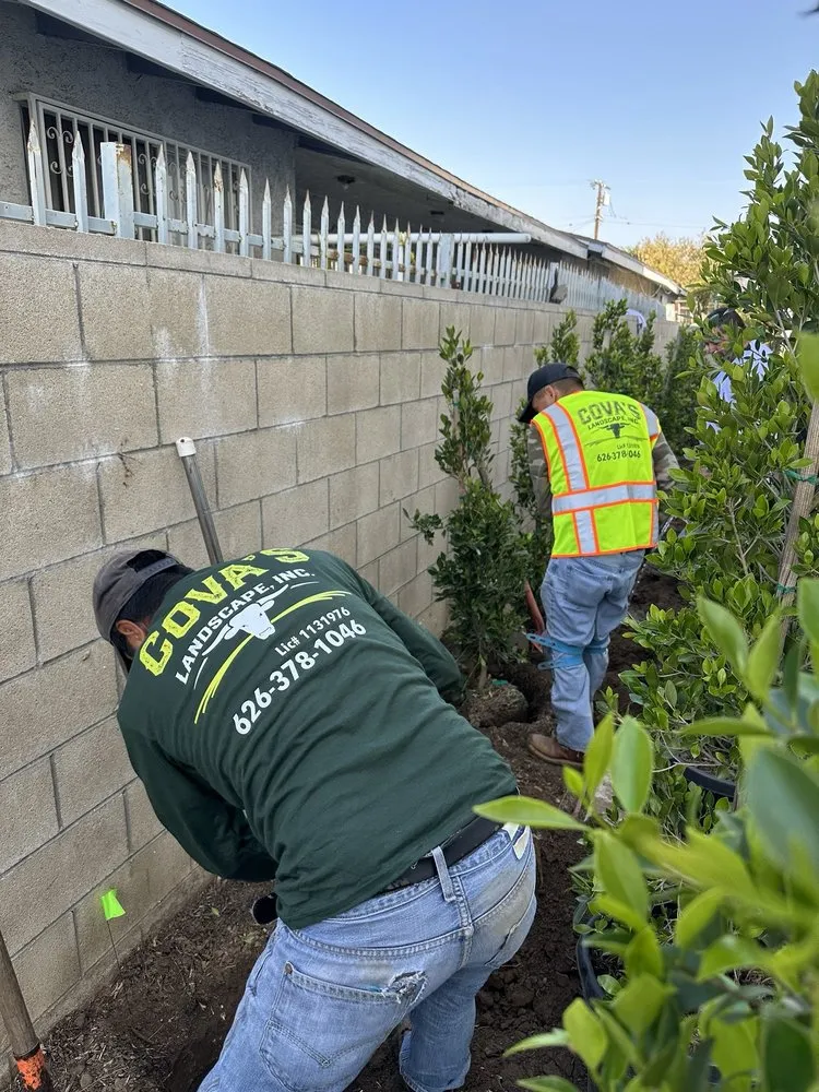 Professional landscaping services in Azusa, CA - Cova's Landscape