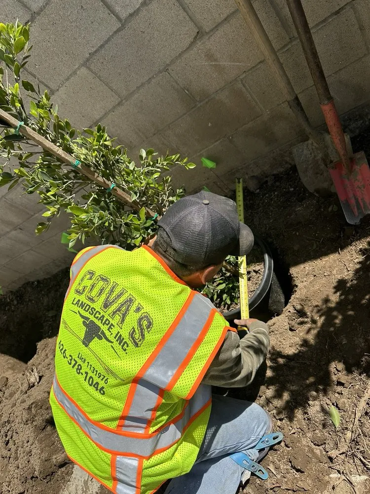 Trusted garden landscaping for residential properties in Azusa, CA by Cova's Landscape