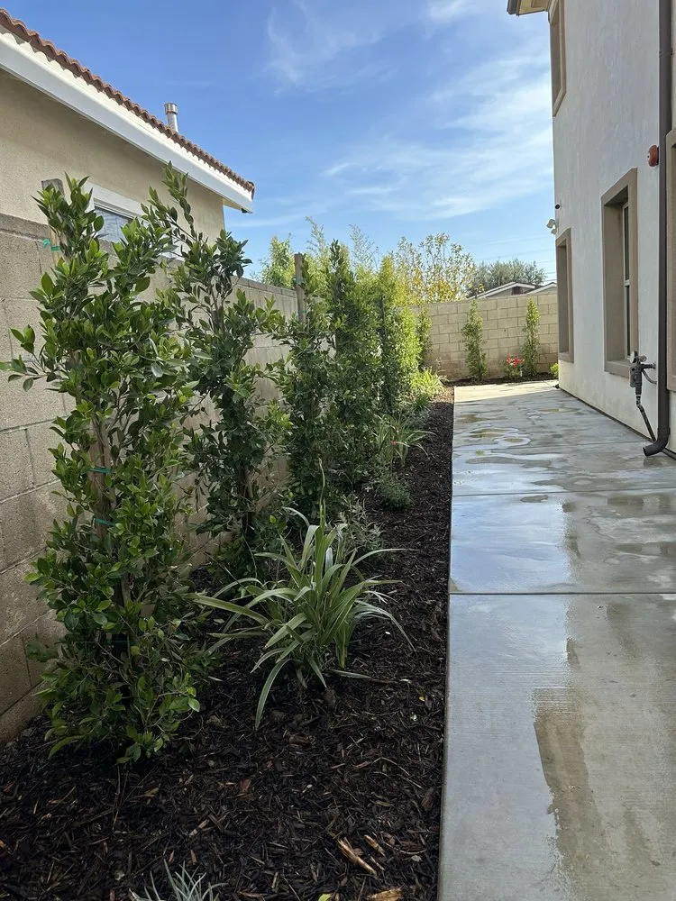 Professional landscape installation in Azusa, CA - Cova's Landscape