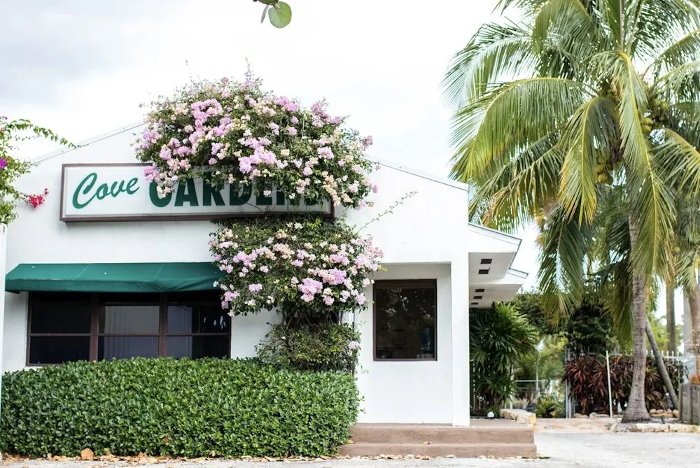 Top-rated outdoor landscaping experts serving Stuart, FL - Cove Gardens Landscaping