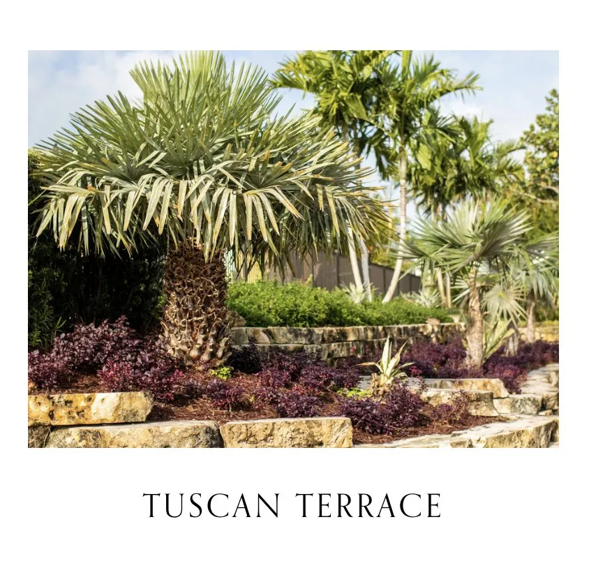 Top-rated residential landscaping experts serving Stuart, FL - Cove Gardens Landscaping