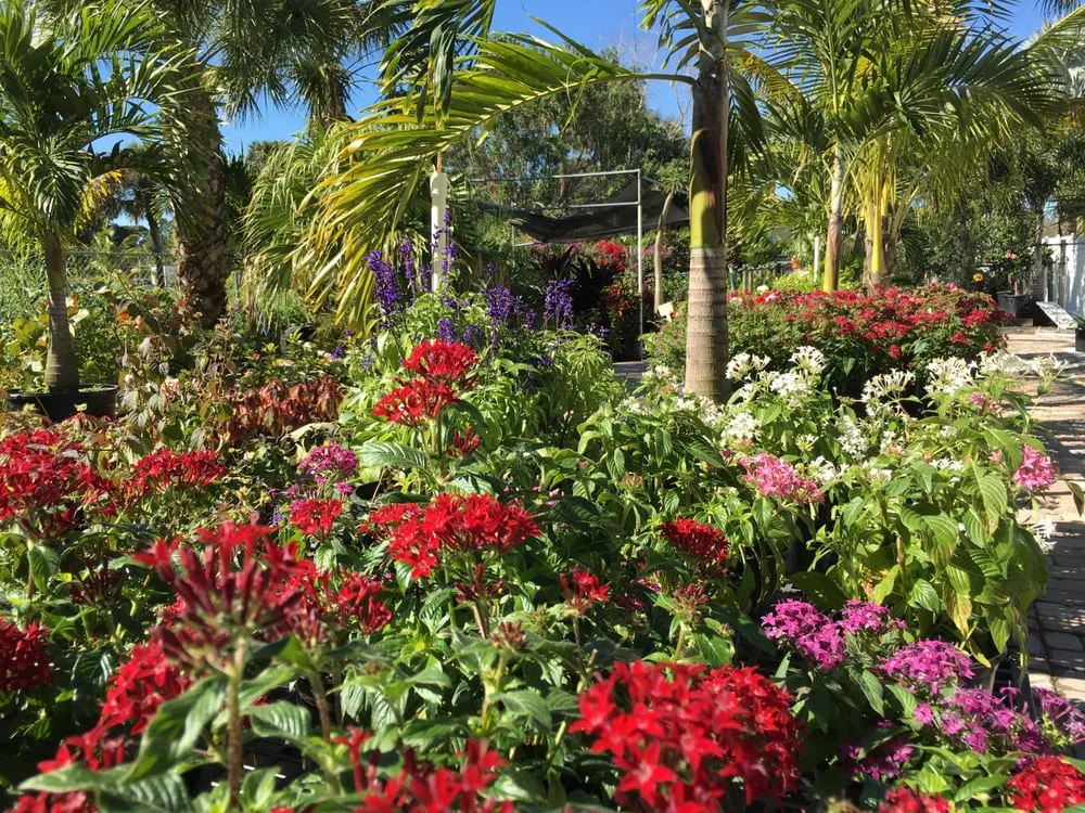 Expert yard cleanup service in Stuart, FL - Cove Gardens Landscaping