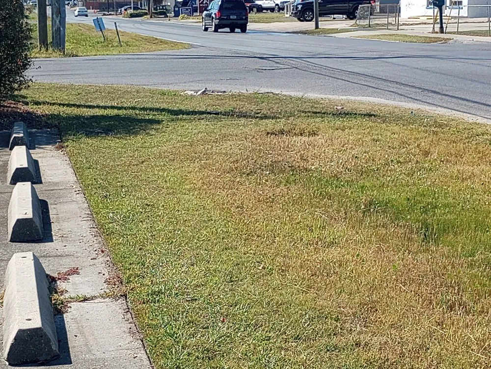 Trusted landscape installation for residential properties across Panama City, FL - Cove Lawn Maintenance