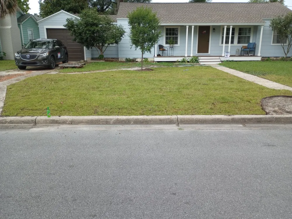 Affordable yard cleanup service for year-round maintenance across Panama City, FL - Cove Lawn Maintenance