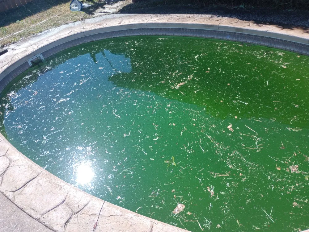 Top-rated yard cleanup service for residential properties across Panama City, FL - Cove Lawn Maintenance