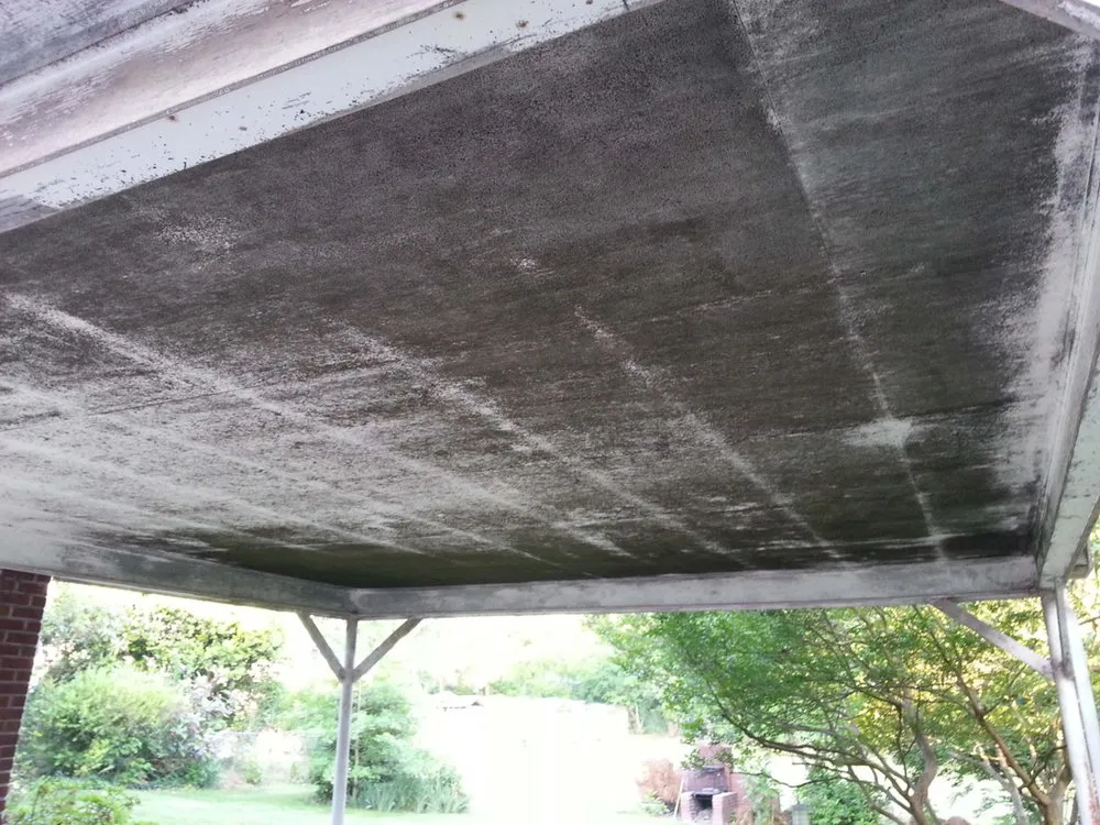 Reliable yard cleanup service experts serving Copperas Cove, TX - Cove Pro Clean