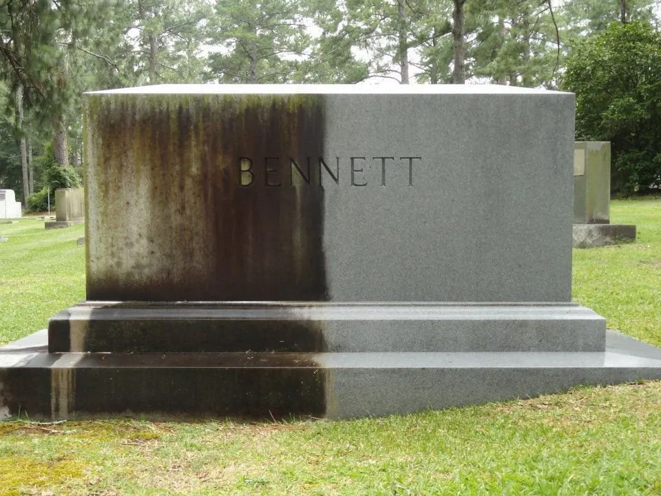 Custom lawn mowing service experts serving Copperas Cove, TX - Cove Pro Clean