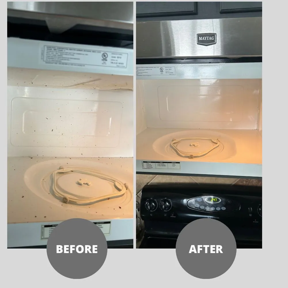 Top-rated residential landscaping in Austin, TX by Covenant Clean & Green