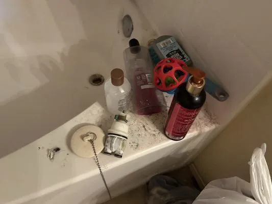 Covenant Clean & Green Logo