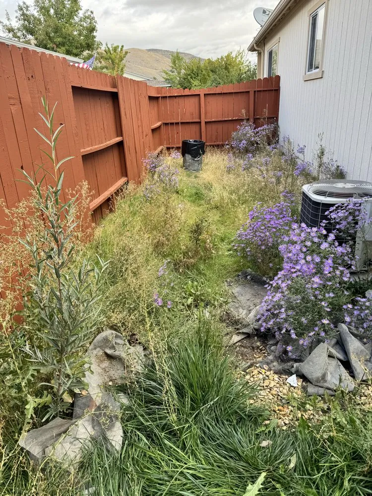 Professional yard maintenance experts serving Reno, NV - Covenant Clean Up