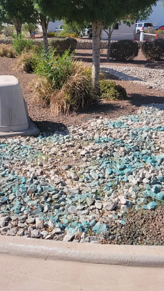 Local lawn care service for homes across El Paso, TX - Covenant Cleaning and Lawn