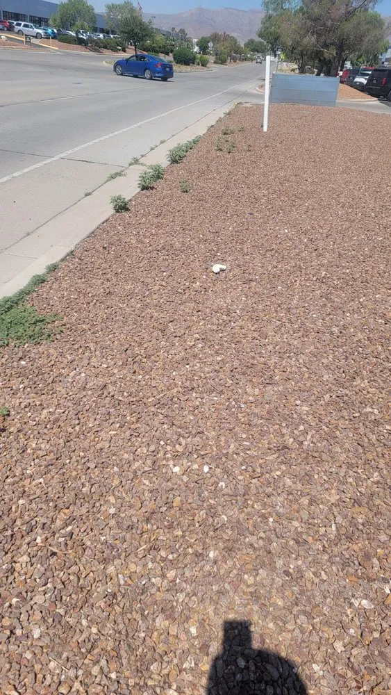 Custom landscaping services experts serving El Paso, TX - Covenant Cleaning and Lawn