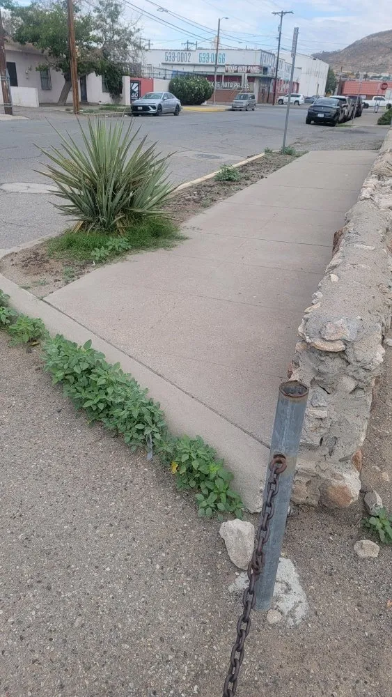 Custom landscaping services for year-round maintenance in El Paso, TX by Covenant Cleaning and Lawn