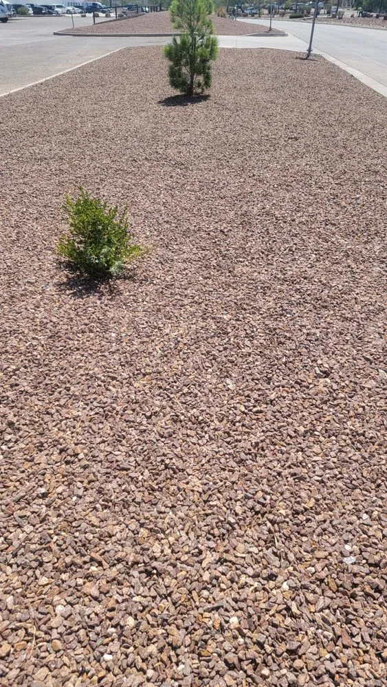 Local yard maintenance experts serving El Paso, TX - Covenant Cleaning and Lawn