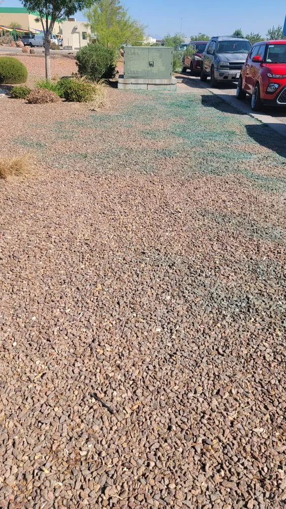 Reliable outdoor landscaping experts serving El Paso, TX - Covenant Cleaning and Lawn