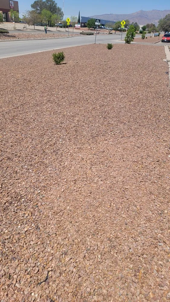 Custom yard maintenance in El Paso, TX by Covenant Cleaning and Lawn