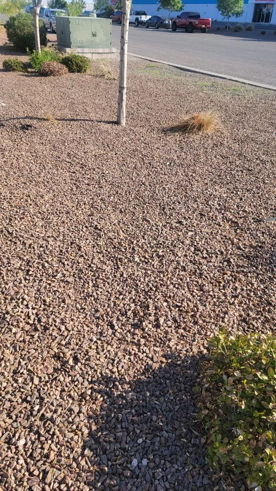 Custom yard maintenance near you across El Paso, TX - Covenant Cleaning and Lawn