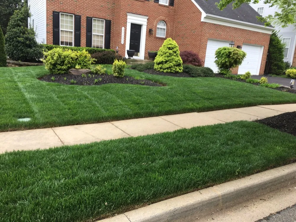 Local yard cleanup service for year-round maintenance in Germantown, MD by Covenant Greens landscaping