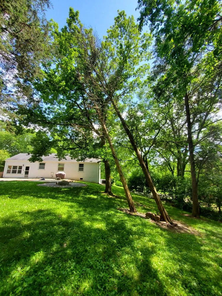 Custom landscape installation in Nashville, TN by Covenant Landscapes