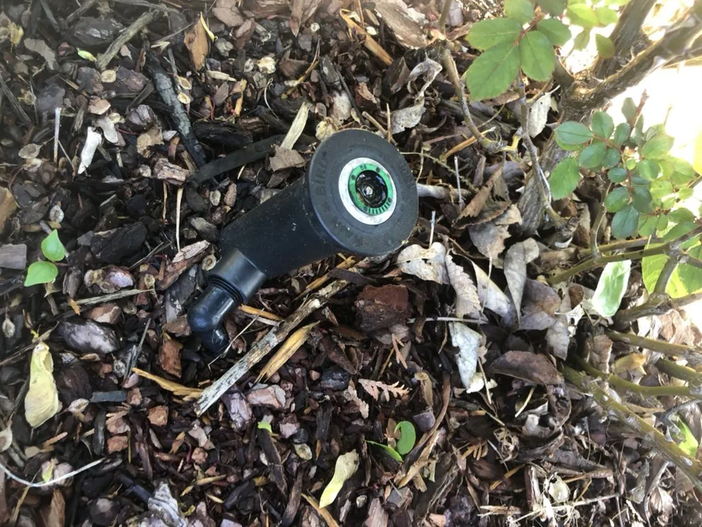 Affordable landscaping services in Nashville, TN by Covenant Landscapes