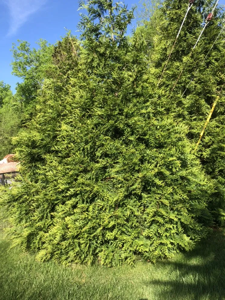 Reliable garden landscaping experts serving Nashville, TN - Covenant Landscapes