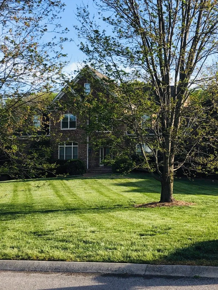 Custom yard cleanup service in Nashville, TN - Covenant Landscapes