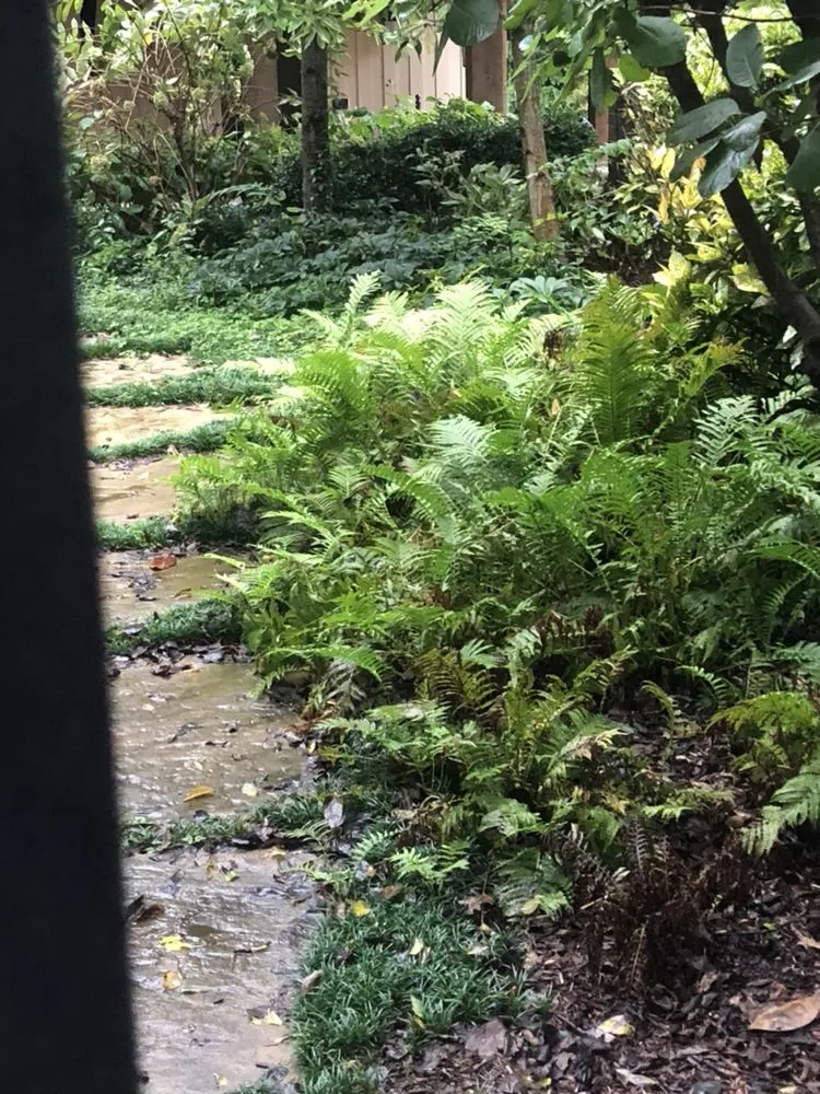 Reliable yard maintenance for outdoor upgrades in Nashville, TN by Covenant Landscapes