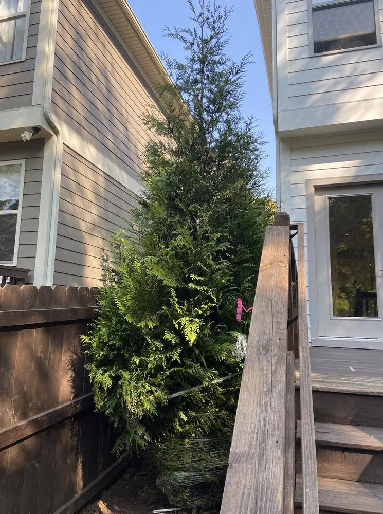 Professional garden landscaping experts serving Nashville, TN - Covenant Landscapes