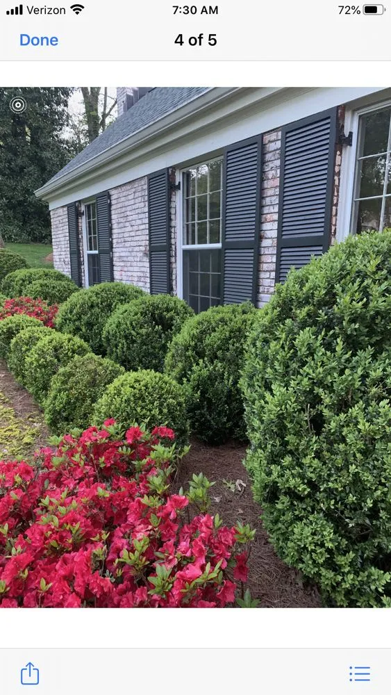 Top-rated lawn care service for homes across Nashville, TN - Covenant Landscapes