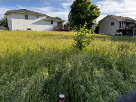 Top-rated garden landscaping in Lakeville, MN by Covenant Lawn Care