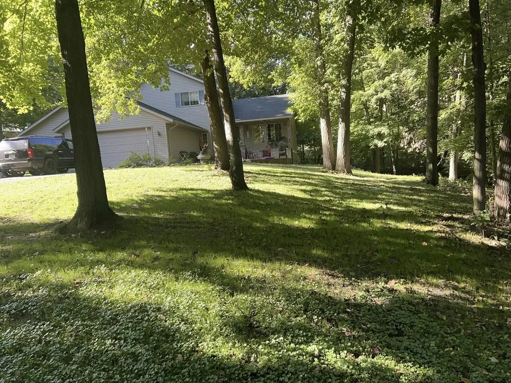 Trusted yard cleanup service for year-round maintenance in Lakeville, MN by Covenant Lawn Care