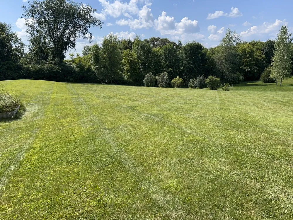 Custom yard cleanup service experts serving Lakeville, MN - Covenant Lawn Care