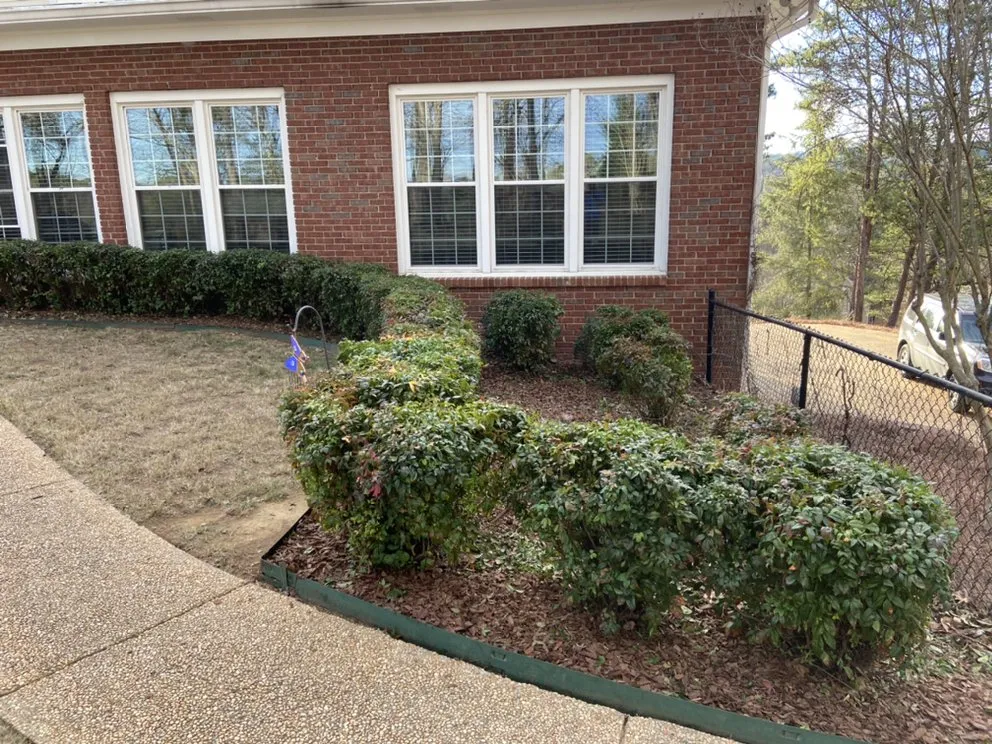 Trusted yard cleanup service for year-round maintenance in Birmingham, AL by Covenant Service