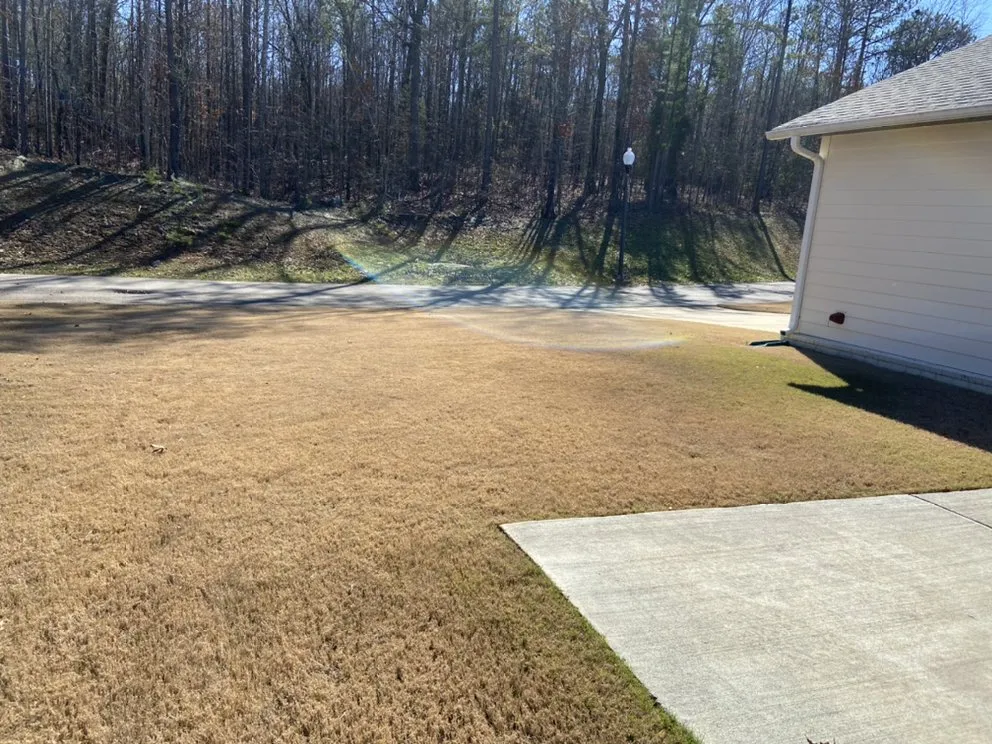 Trusted landscaping services experts serving Birmingham, AL - Covenant Service