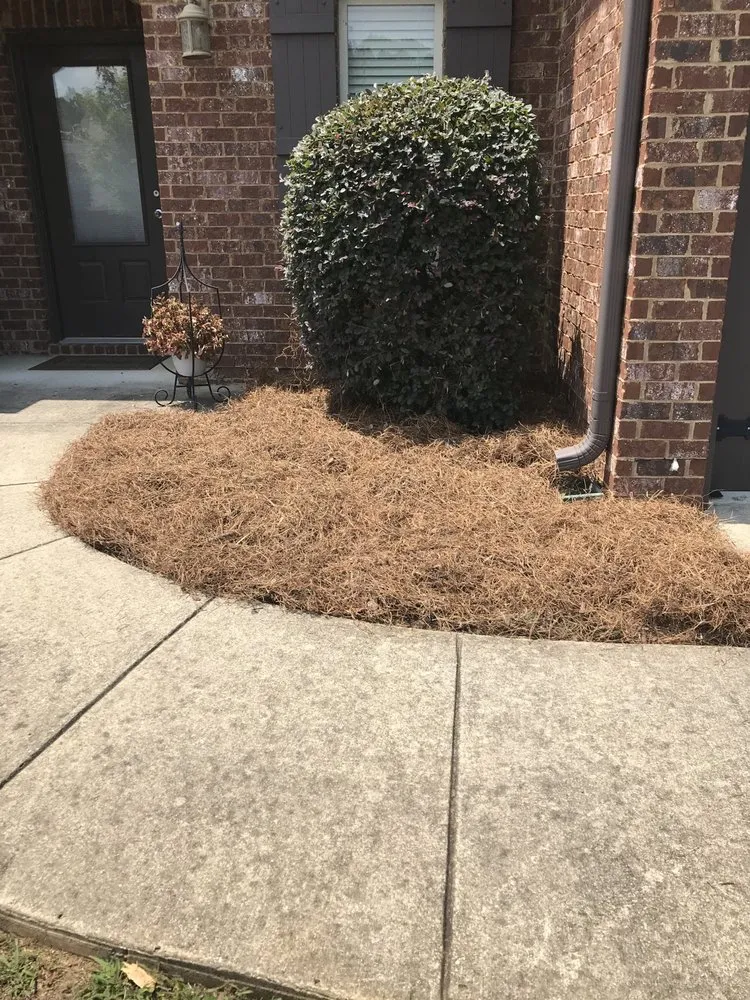 Expert outdoor landscaping experts serving Birmingham, AL - Covenant Service