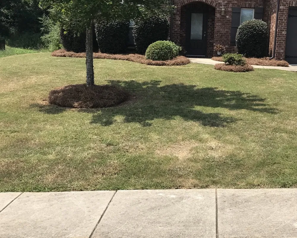 Reliable yard cleanup service for outdoor upgrades in Birmingham, AL by Covenant Service