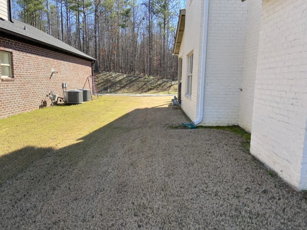 Trusted yard cleanup service experts serving Birmingham, AL - Covenant Service