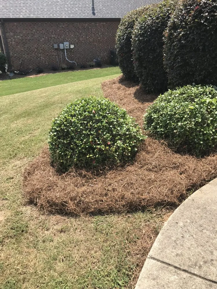 Affordable residential landscaping for year-round maintenance across Birmingham, AL - Covenant Service