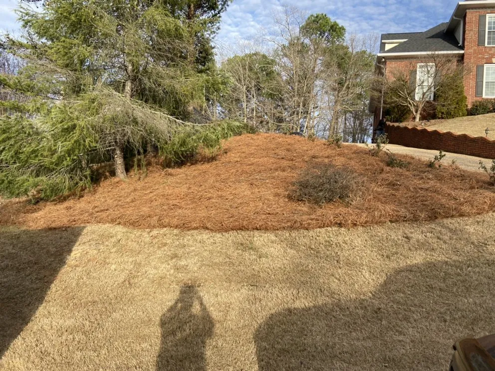 Top-rated garden landscaping in Birmingham, AL by Covenant Service