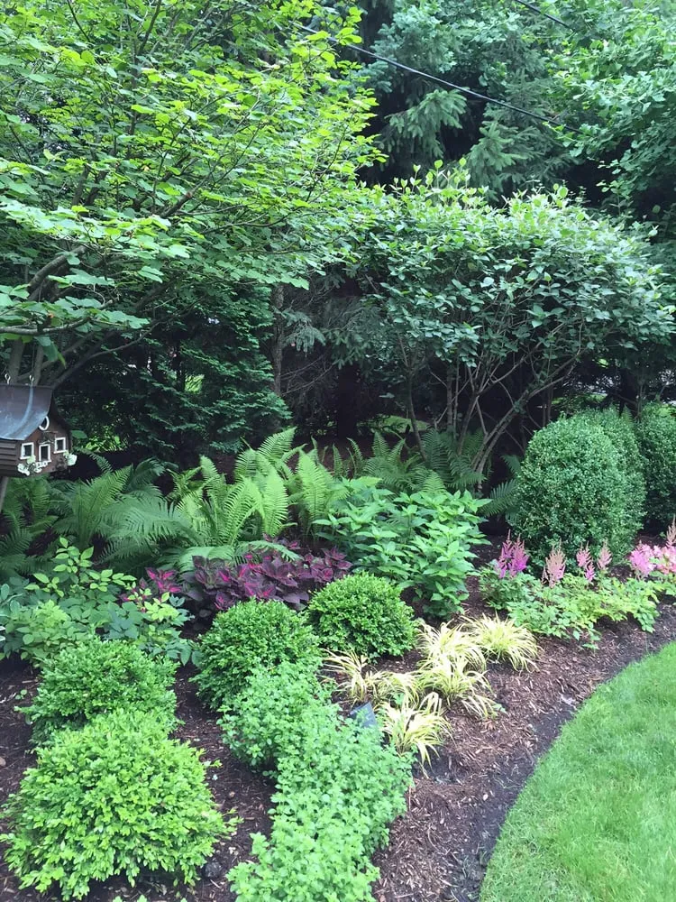 Local residential landscaping experts serving Westmont, IL - Coventry Gardeners