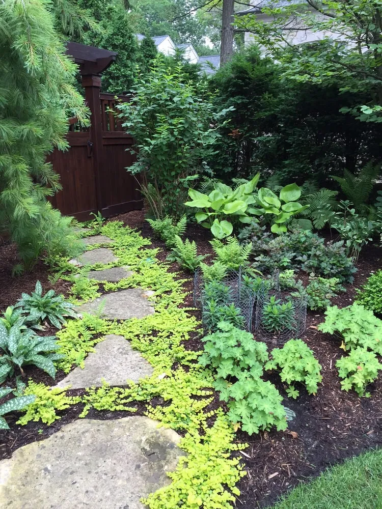 Affordable landscaping services for residential properties in Westmont, IL by Coventry Gardeners