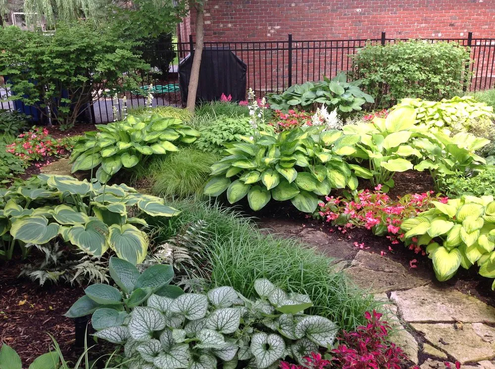 Trusted landscape design near you across Westmont, IL - Coventry Gardeners