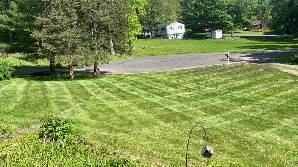 Trusted landscape design experts serving Northford, CT - Coves Cuts